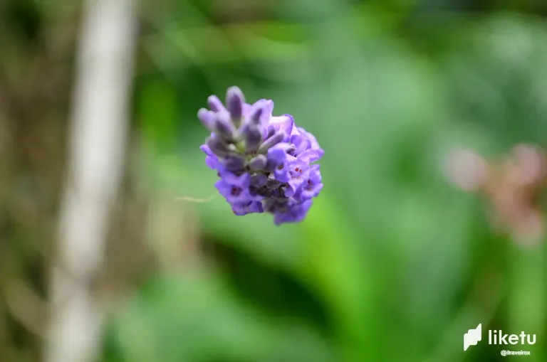 cKsmTEHk9CcSeIao_DSC_0216.webp