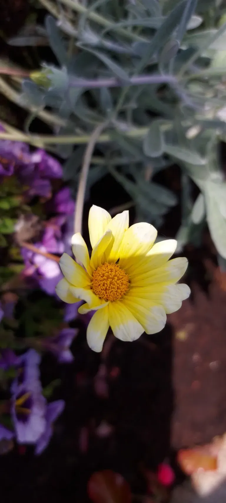 eDZfZPkg5SVEme9x_20250610_173321.webp