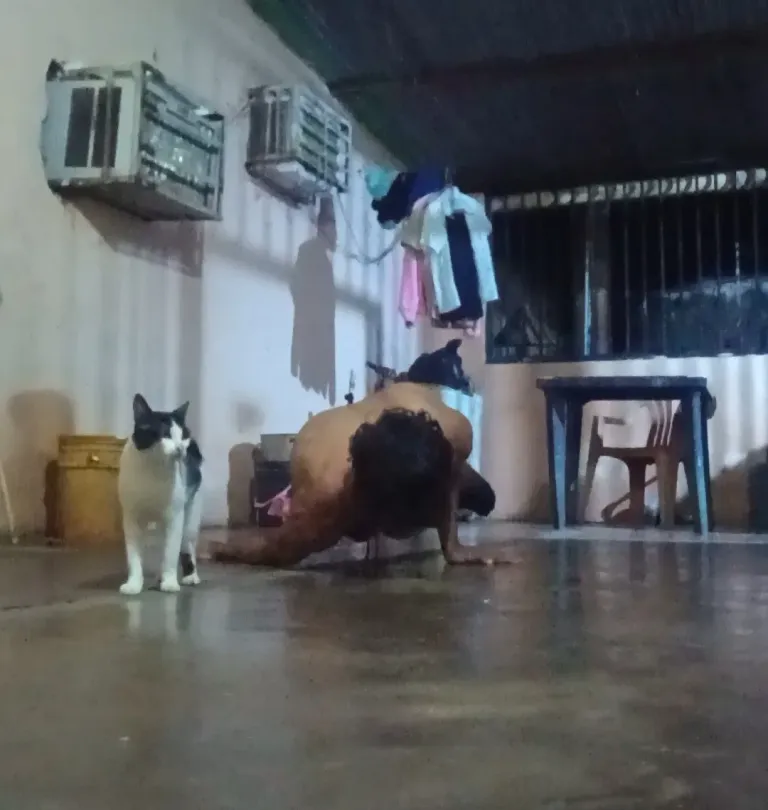 CoONvsIiC9vimkhT_1000576441.webp