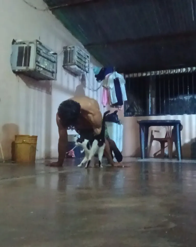 OJSyKNx7861r8HIU_1000576445.webp