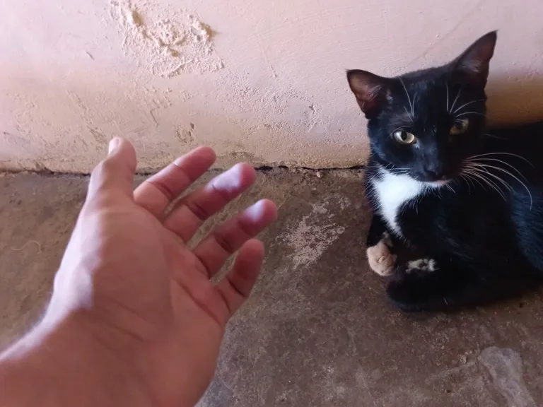 S6HkkMVFUGljtcN2_1000326460.webp