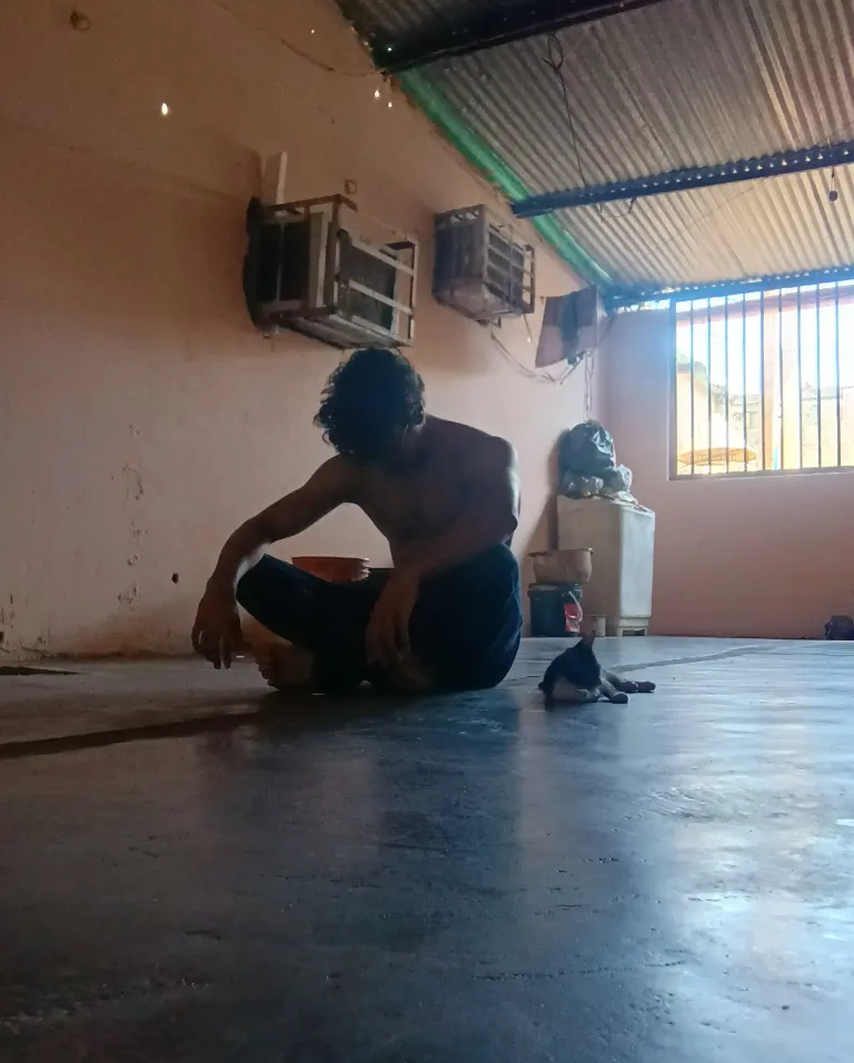 ZppjrGMa9H6fGal7_1000326429.webp