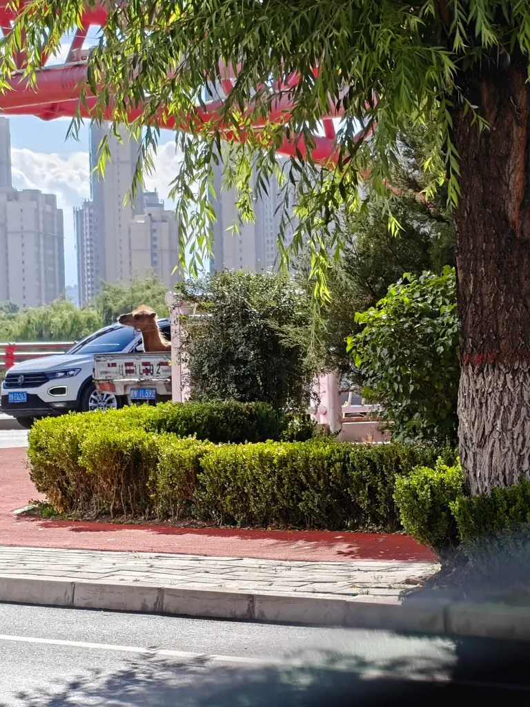 8nqGHembQgqpVd4t_IMG20250725170924.jpg