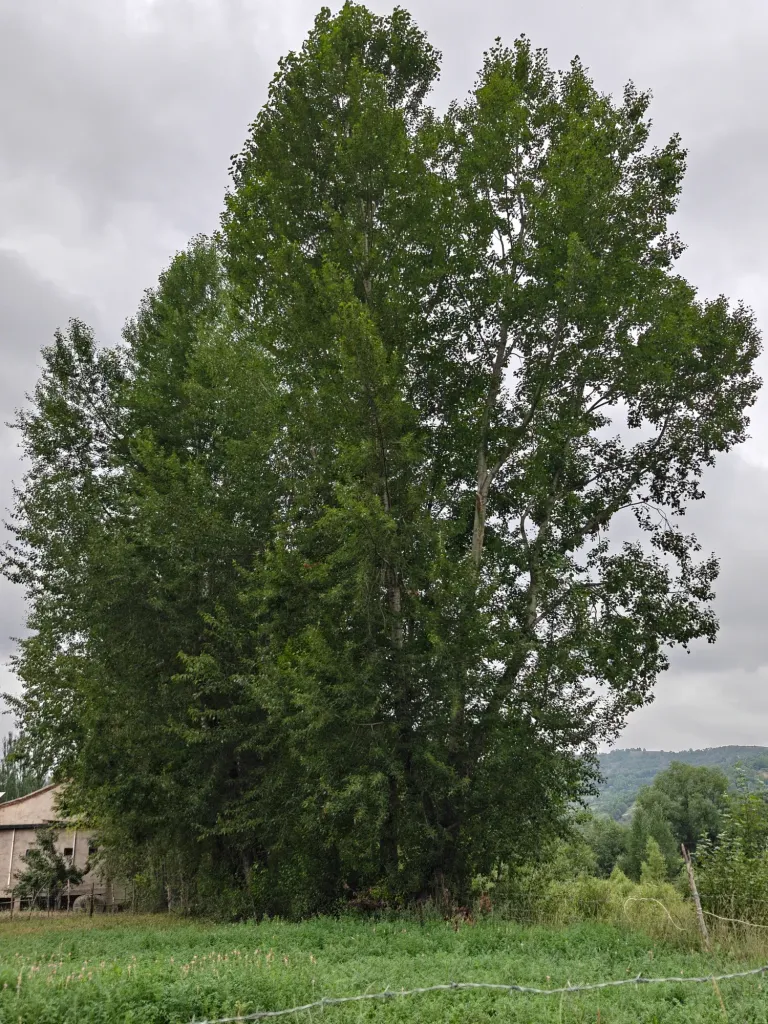 Y1SooXMA8Q7NMqag_IMG20250724151521.webp