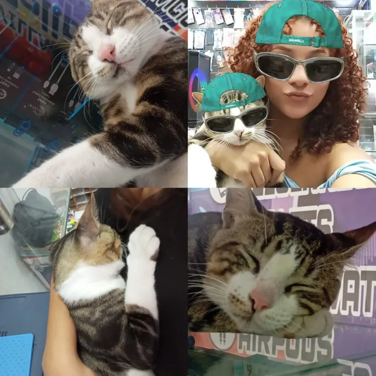 2pLNqxBpcji8uSxZ_1001445166.webp