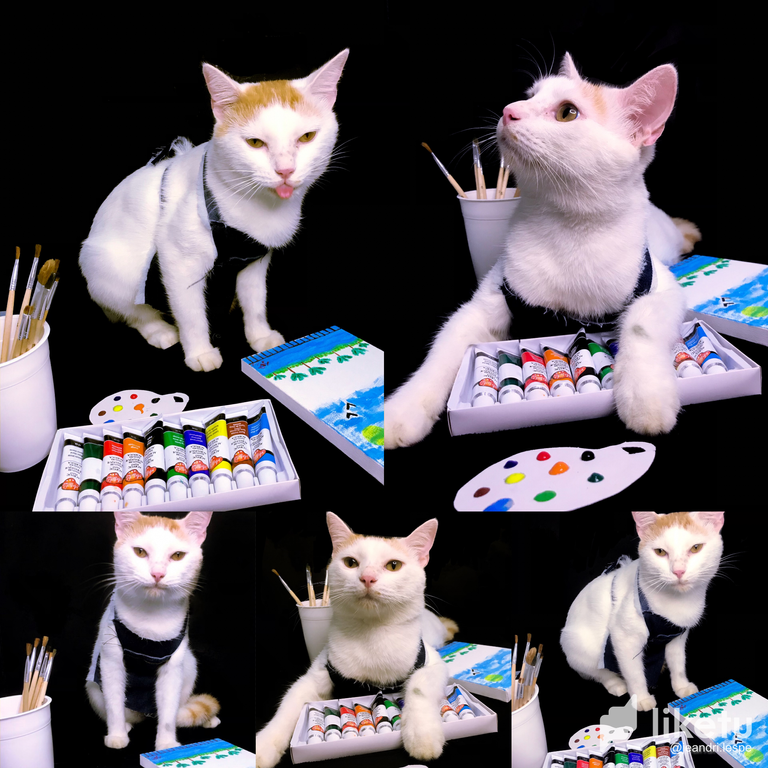 clpmlt0u102wxaesz4mcu0vu4_B0623818-B43F-4497-8C9C-C1ABB4D84FC8.png