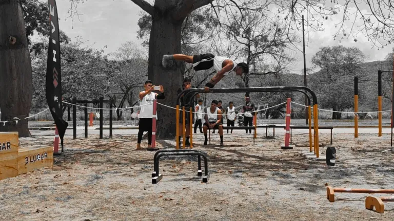lwsv8vpaycbOl7EV_1000428699.webp