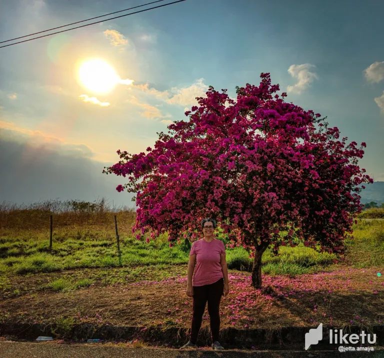 KcmHPkF2LmuDAd5H_1.webp