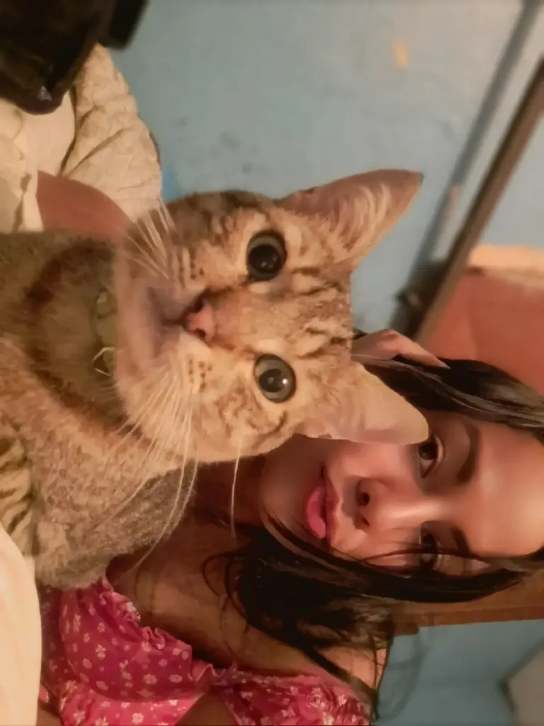 Zq2W1T1HByuo9fcE_1000101068.webp