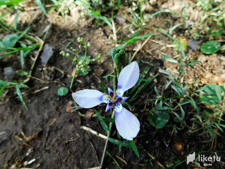 2RibRNLsY7RhnNkv_DSCN0019.webp