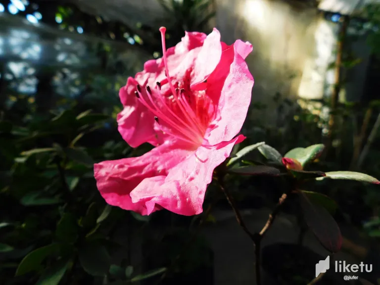 3gLs94c2dNas2HEq_DSCN0439.webp