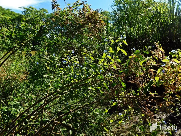 8R9NltX5hdb4H1vt_DSCN0360.webp
