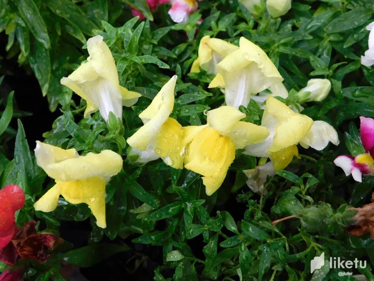 9CWovDJZFsMZDtQZ_DSCN0841.webp