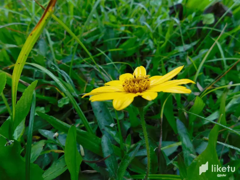 C7UF5UqhM7l2SMAm_DSCN0107.webp