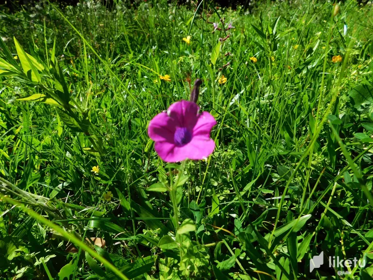 EOSNDP1sCwhwBZV4_DSCN0176.webp