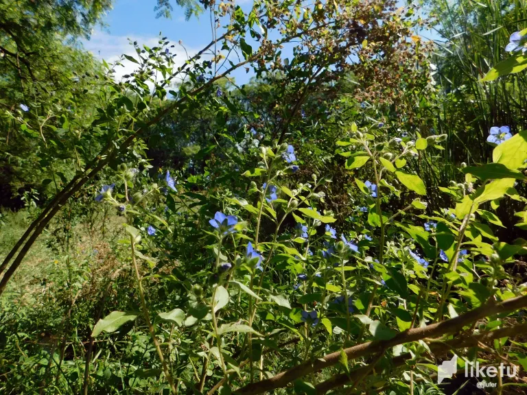 H2BTndiLNATJibAY_DSCN0361.webp