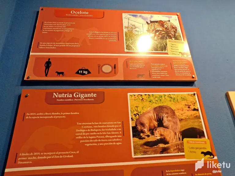 PYzTAnl2ETguw5Ux_DSCN0239.webp