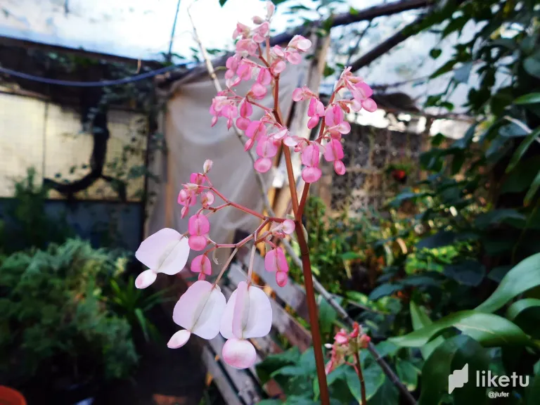 PwJbsAphbBTolXaz_DSCN0206.webp