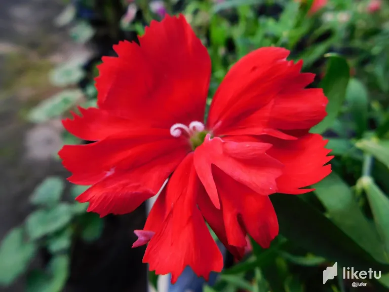 VUSaGe7ypOKuuXzx_DSCN0456.webp