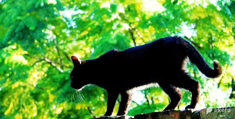 XAyxuXgRrapyYVNS_DSCN0032.webp