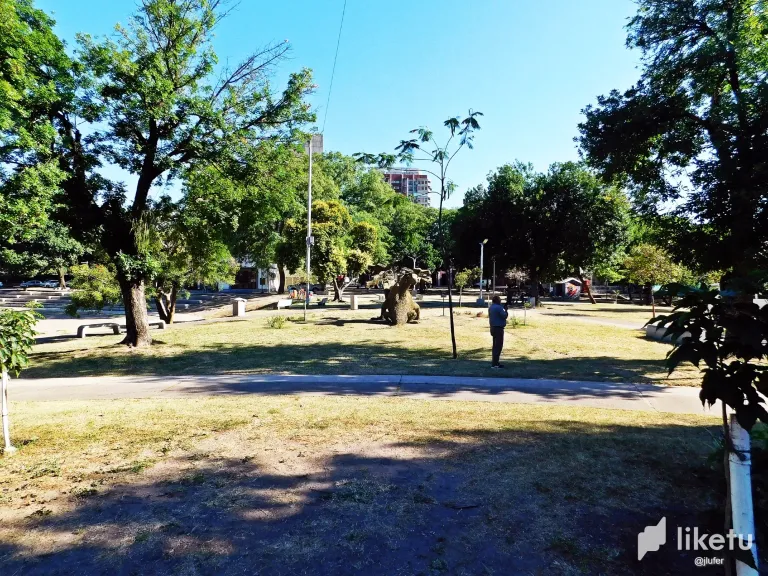 bJIOMqpfAbQWfqOw_DSCN0503.webp