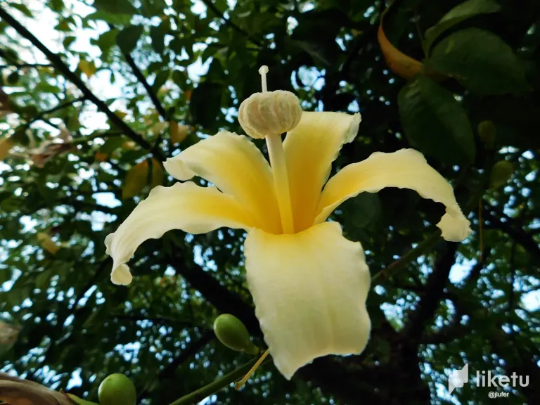 cJEhvNxHht5Nx6te_DSCN0430.webp