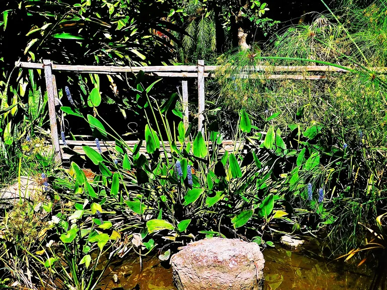 cl8d8jeii011s1skc6axk7z5a_DSCN7330edit.webp
