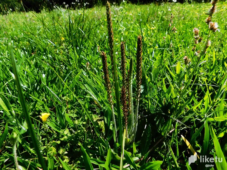 d1Y6JOTneFojH2nI_DSCN0162.webp