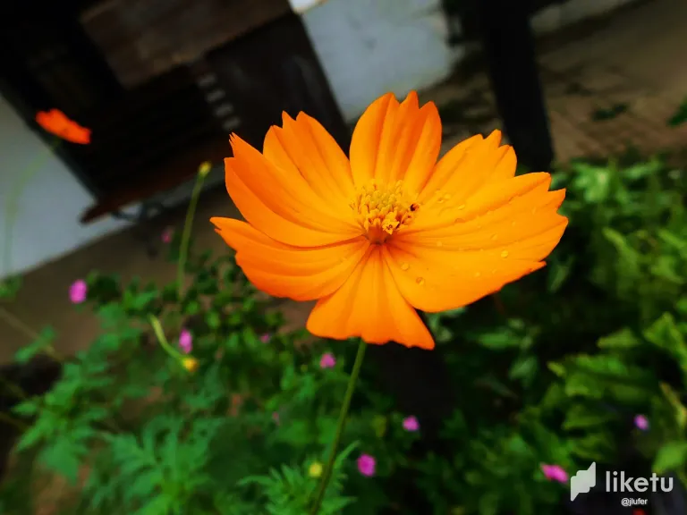 qRpQtwKxSmVpQmpi_DSCN0068.webp