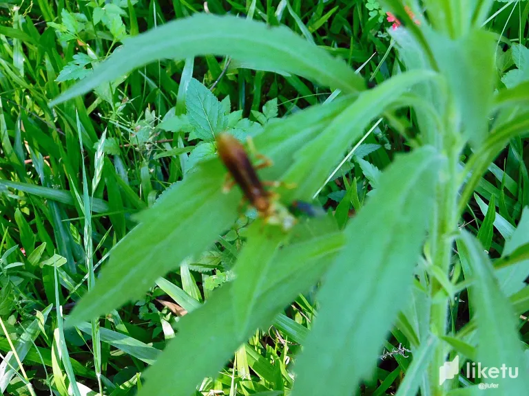 sLpj7hG63QThiVTt_DSCN0139.webp