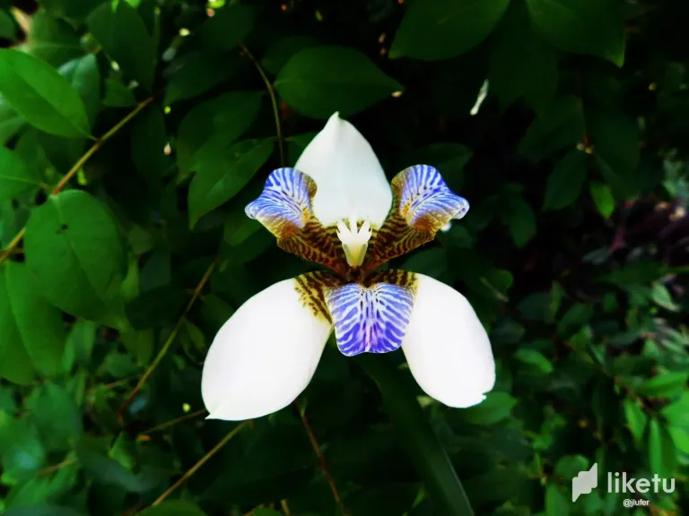 uMOJcI145jVVwiQ0_DSCN0046.webp