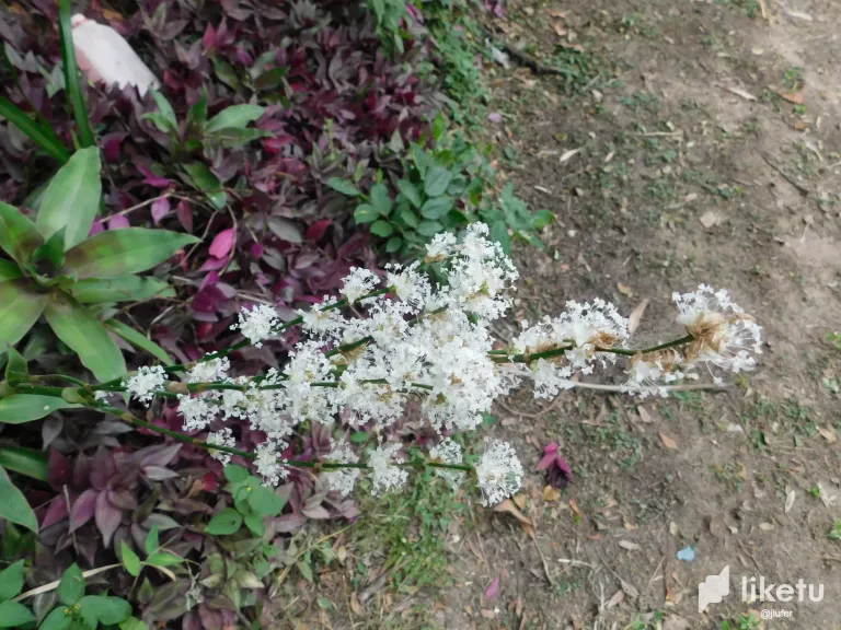 vLnBVrC6Iy9pXIof_DSCN0904.webp