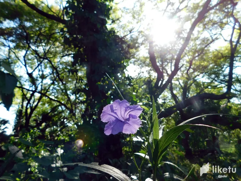 x5AbwAEDTuiW1zTw_DSCN0277.webp