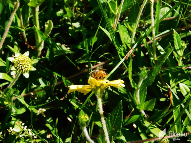 xEEBEN9eSTCwbglX_DSCN0149.webp