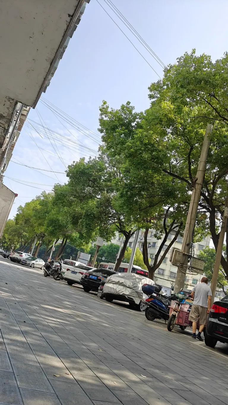 uVqI7rpKwUPiriya_1000015123.webp