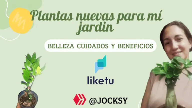 ckAXM7zkT78j6rVw_Presentacin_Plantas_de_Interior_Orgnico_Verde.webp
