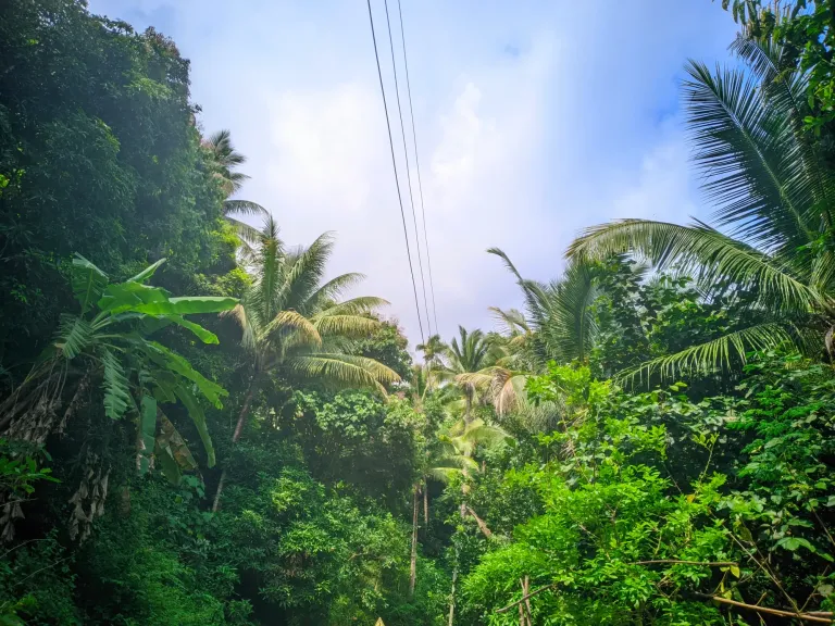 CnVuhNgOsAz4VHJW_Camera_King_Gcam18_Aug_14_02.Super_Color_1.webp