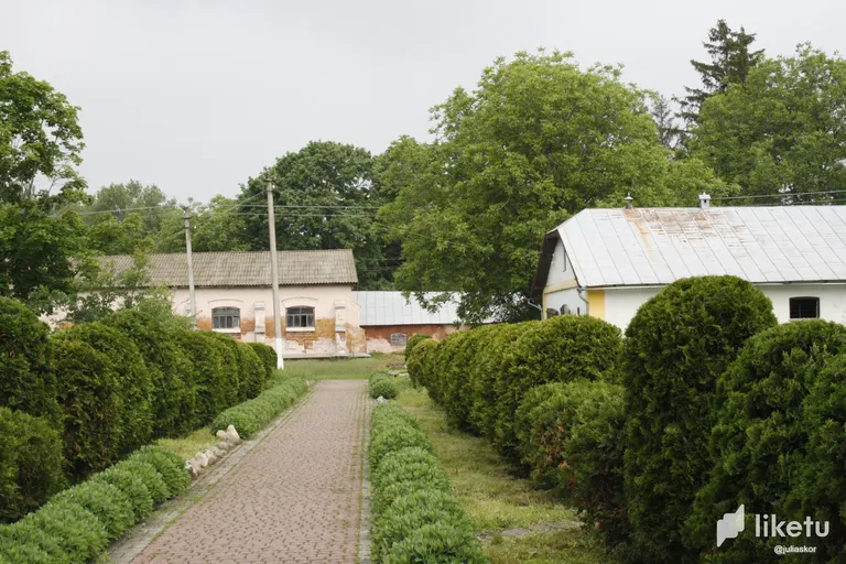 cliewg9ac00a96kszbubsgmi6__MG_7414.webp