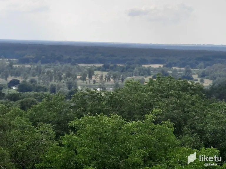 cljbs6dnq00kj7lszhv6t4duv_photo_2023-06-25_17-57-49.webp