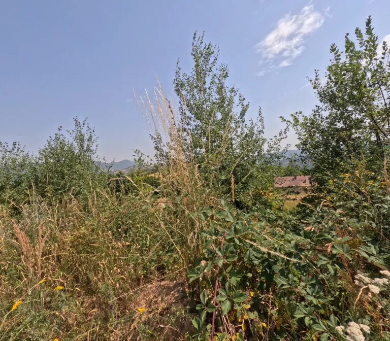 05DomzZI3SDupZLm_GOPR1300.webp