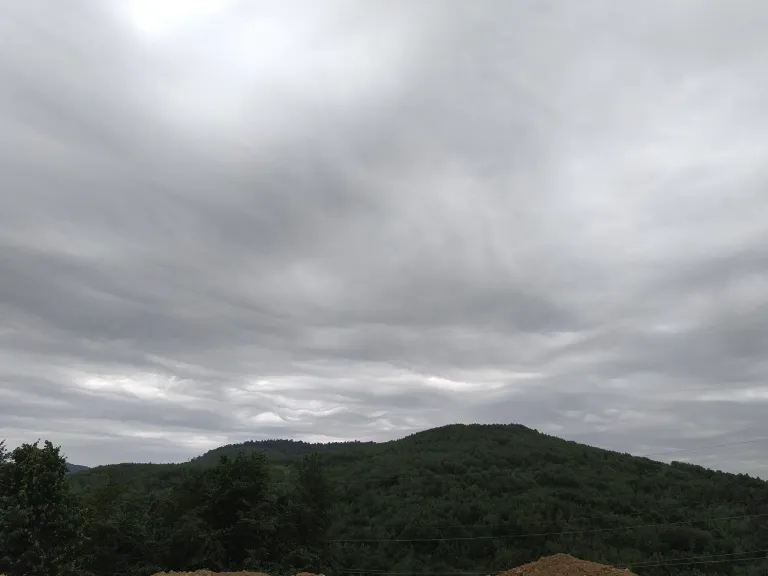 0UtlEiVvGb4zjYlU_IMG_20250717_095659.webp