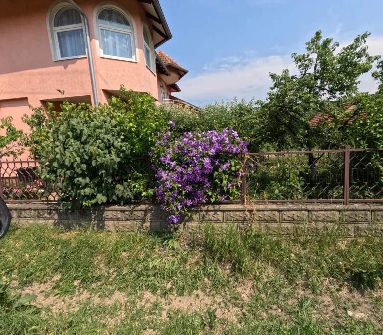 2mOYO3Cgt04RCS1C_GOPR1226.webp