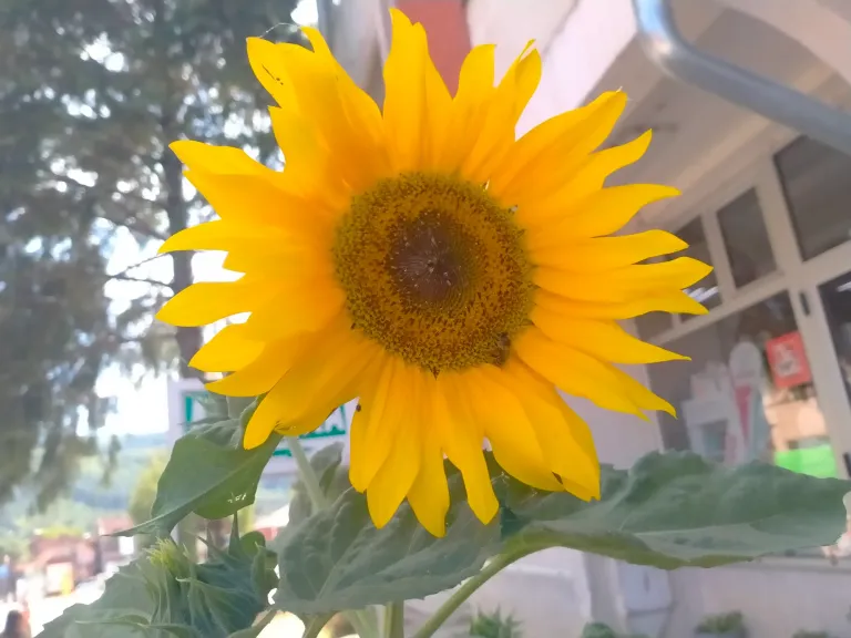 69RX1VRaijKBfjKx_IMG20250714144240.webp