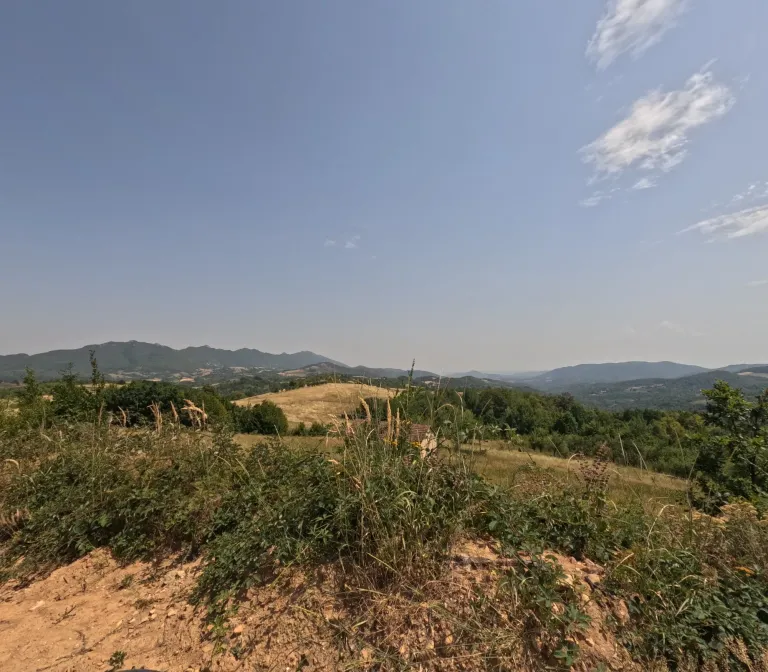 6DJyMh9wrhNUDhoJ_GOPR1296.webp
