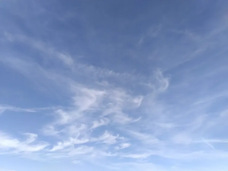 8qyJLsi9YBuV0Pqz_IMG_20250826_091230.webp