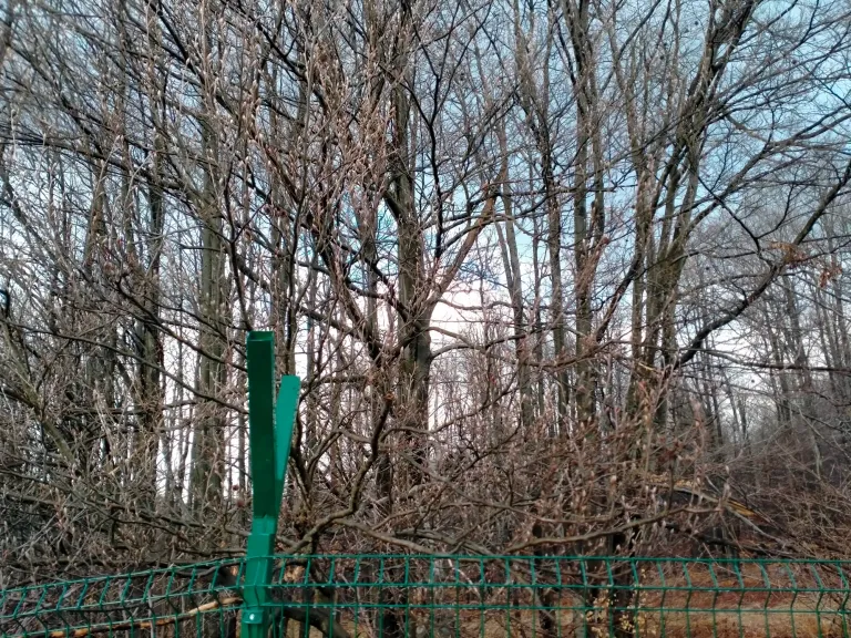 9zJwuNx5tzMrBqcE_IMG20250311163333.webp