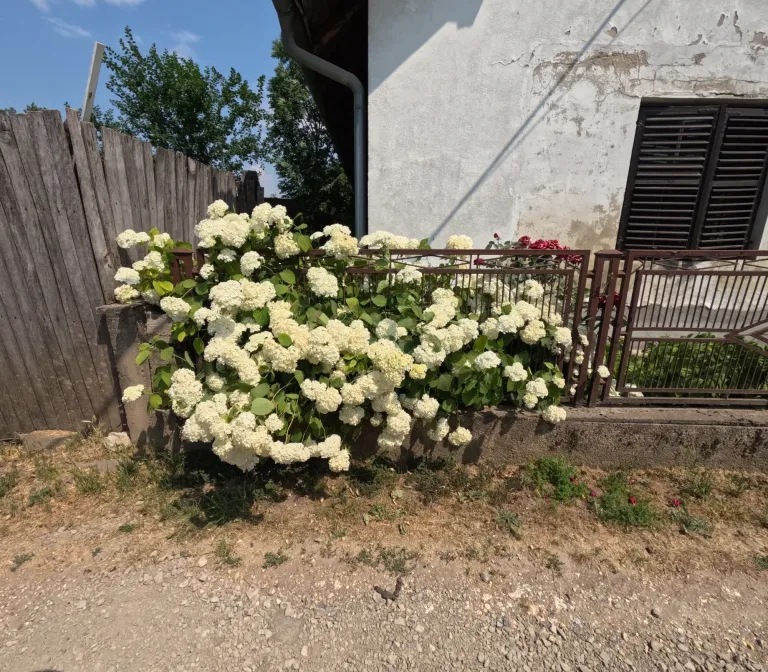 AAzDEO9tFGMcNPLF_GOPR1225.webp