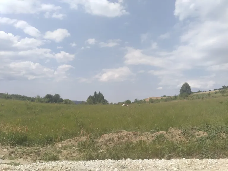 BaSQsB7UuP32JqcP_IMG_20250803_132413.webp
