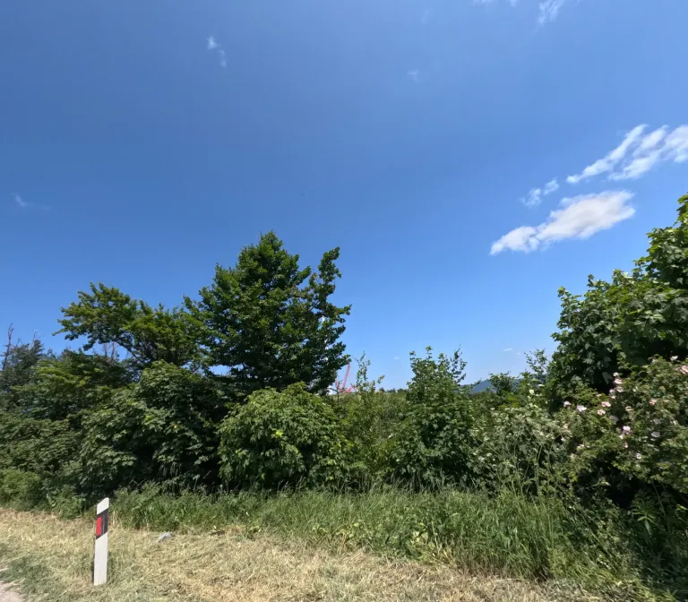 CcMhXJVaui55wtCg_GOPR1113.webp