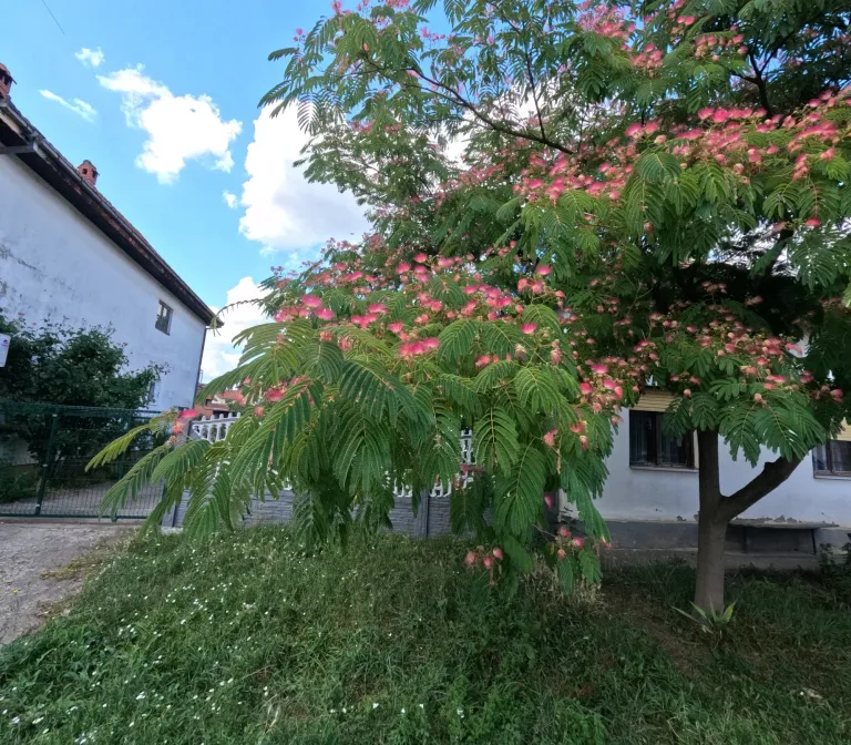 GPcfCFympIFAh71a_GOPR1279.webp